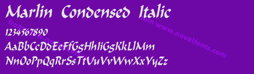 Marlin Condensed ItalicPreview