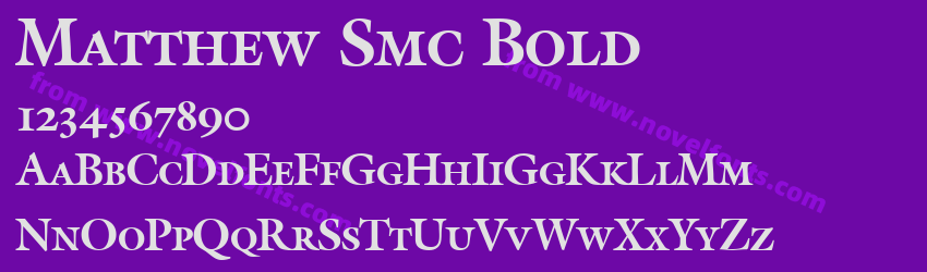 Matthew Smc BoldPreview