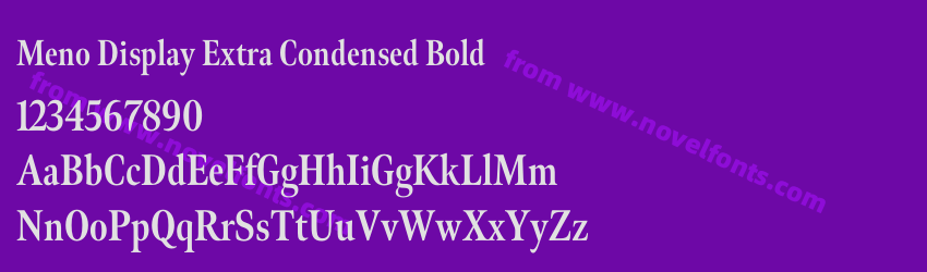 Meno Display Extra Condensed BoldPreview