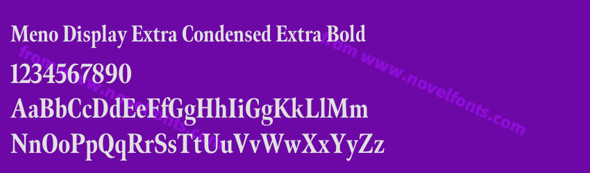 Meno Display Extra Condensed Extra BoldPreview