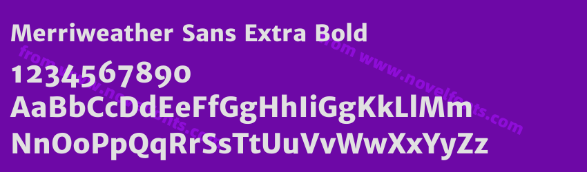 Merriweather Sans Extra BoldPreview