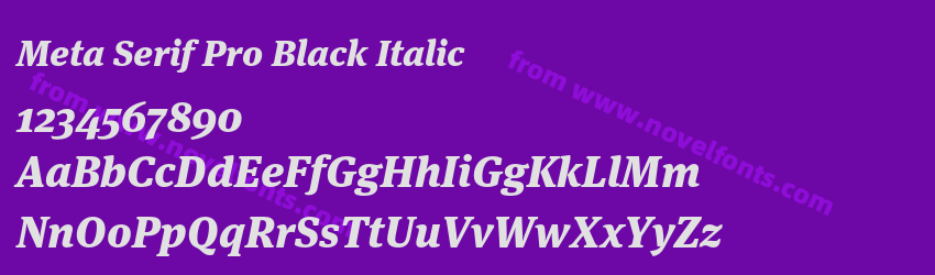 Meta Serif Pro Black ItalicPreview