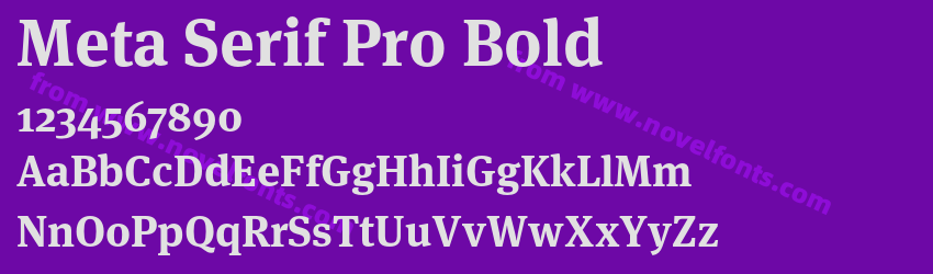 Meta Serif Pro BoldPreview