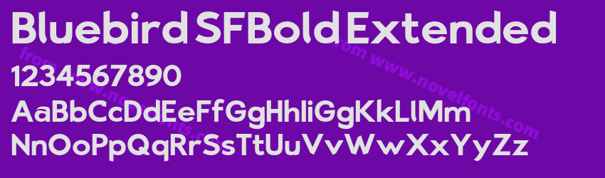 Bluebird SFBold ExtendedPreview