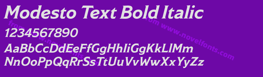 Modesto Text Bold ItalicPreview