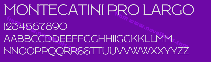 Montecatini Pro LargoPreview