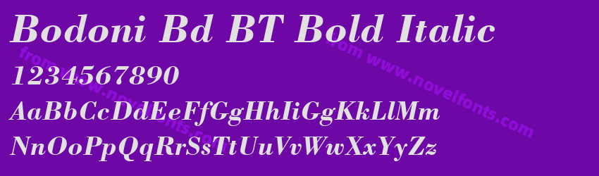 Bodoni Bd BT Bold ItalicPreview