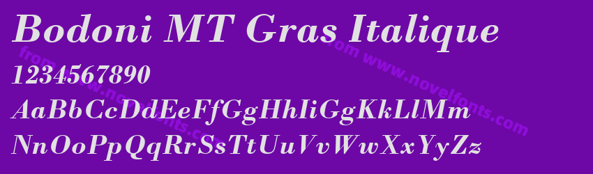 Bodoni MT Gras ItaliquePreview