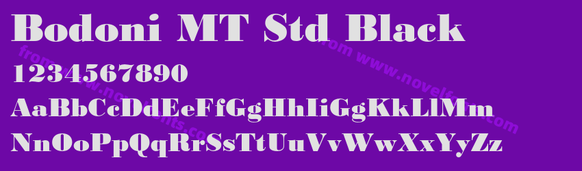 Bodoni MT Std BlackPreview