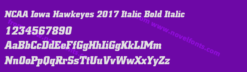 NCAA Iowa Hawkeyes 2017 Italic Bold ItalicPreview