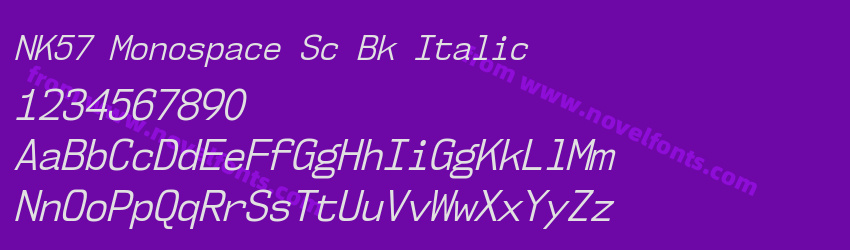 NK57MonospaceScBk-ItalicPreview