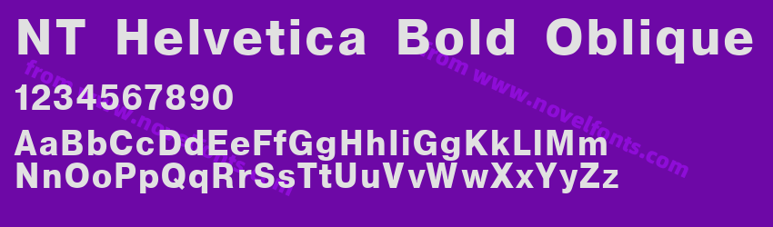 NT Helvetica Bold ObliquePreview