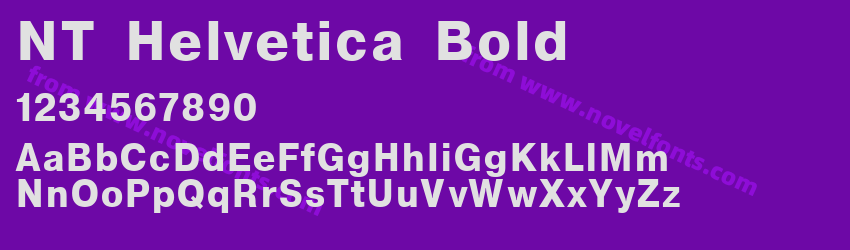 NT Helvetica BoldPreview