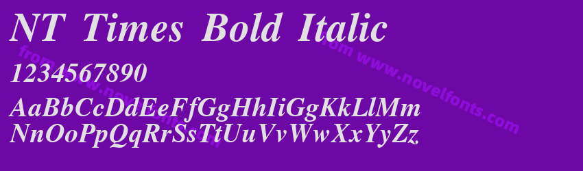 NT Times Bold ItalicPreview