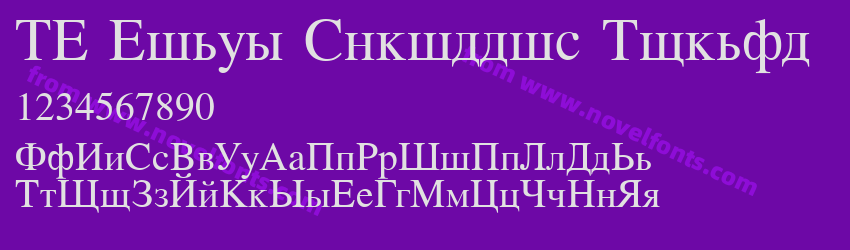 NT Times Cyrillic NormalPreview