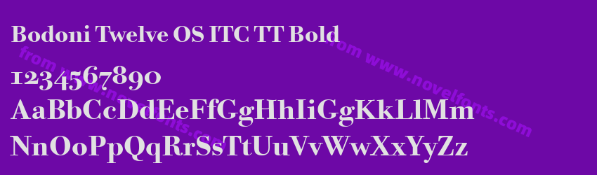 Bodoni Twelve OS ITC TT BoldPreview