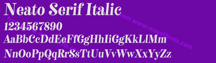 Neato Serif ItalicPreview