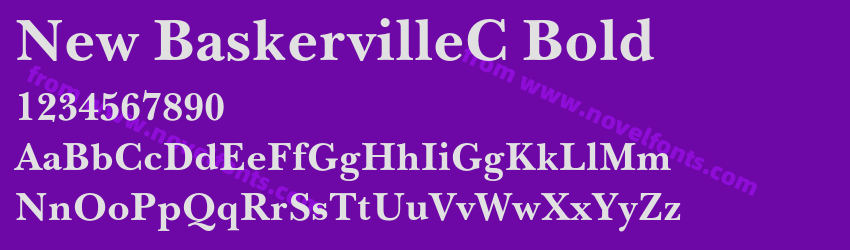 New BaskervilleC BoldPreview