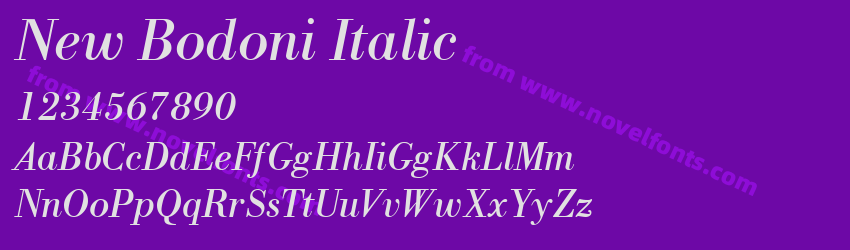 New Bodoni ItalicPreview