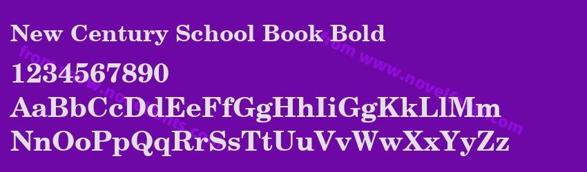 New Century School Book BoldPreview