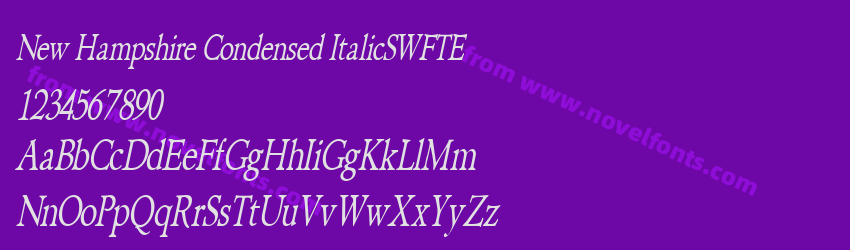 New Hampshire Condensed ItalicSWFTEPreview