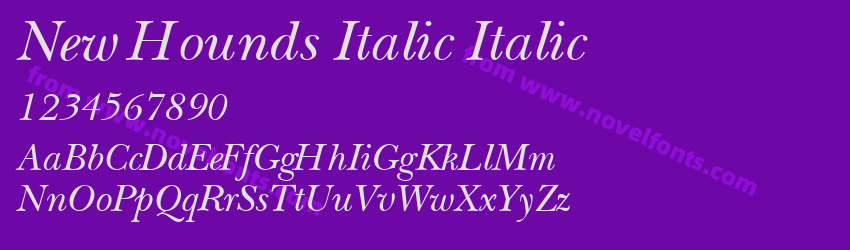 New Hounds Italic ItalicPreview