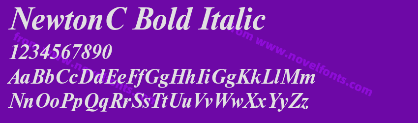 NewtonC Bold ItalicPreview