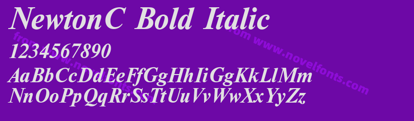 NewtonC Bold ItalicPreview