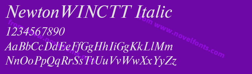 NewtonWINCTT ItalicPreview