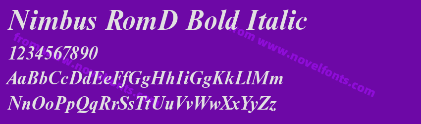 Nimbus RomD Bold ItalicPreview