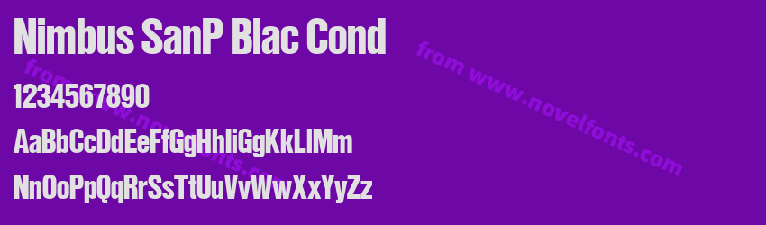Nimbus SanP Blac CondPreview