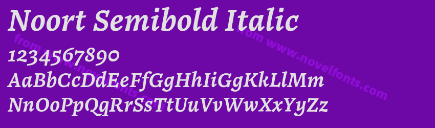 Noort Semibold ItalicPreview