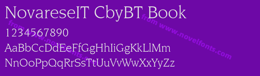 NovareseIT CbyBT BookPreview