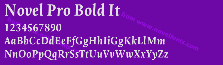 Novel Pro Bold ItPreview