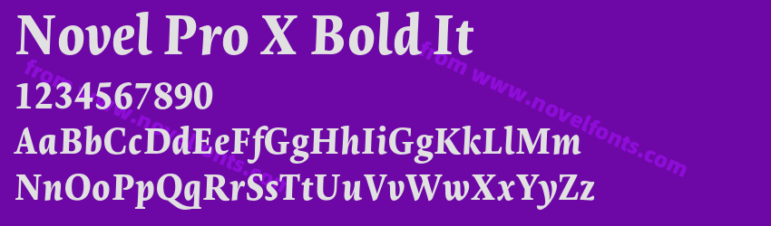 Novel Pro X Bold ItPreview