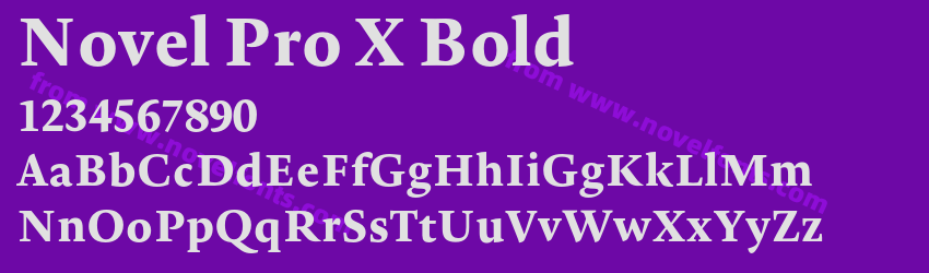 Novel Pro X BoldPreview