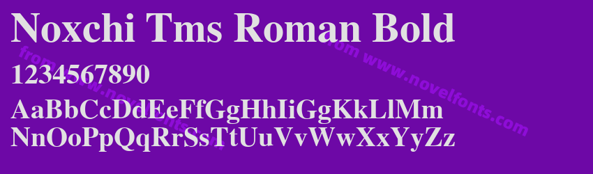 Noxchi Tms Roman BoldPreview