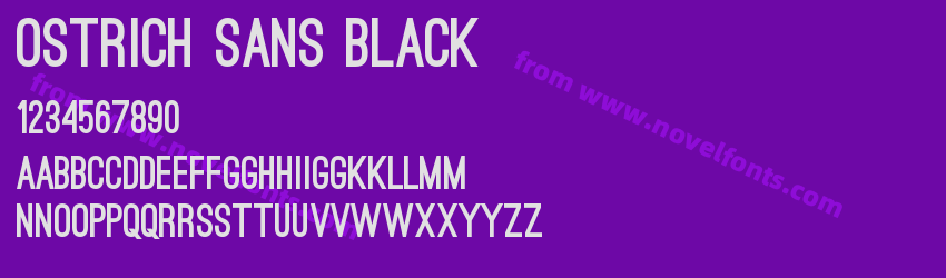 Ostrich Sans BlackPreview