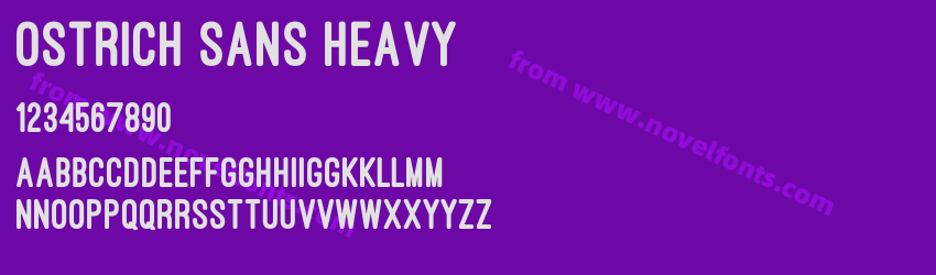 Ostrich Sans HeavyPreview