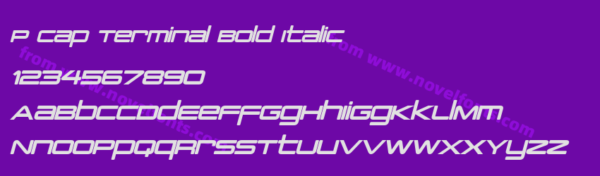 PCap Terminal Bold ItalicPreview