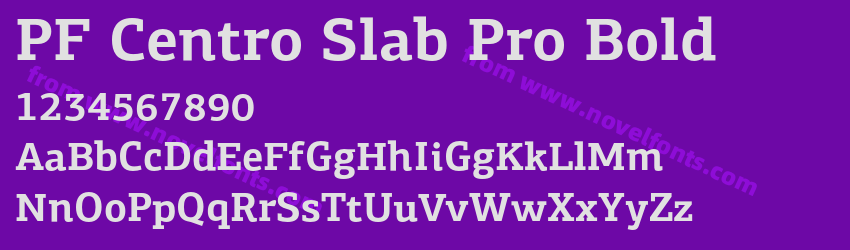 PF Centro Slab Pro BoldPreview