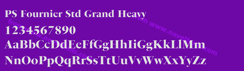 PS Fournier Std Grand HeavyPreview