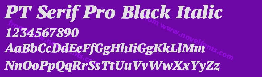 PT Serif Pro Black ItalicPreview