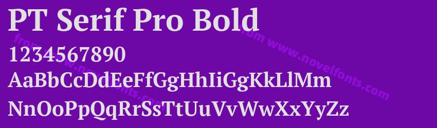 PT Serif Pro BoldPreview