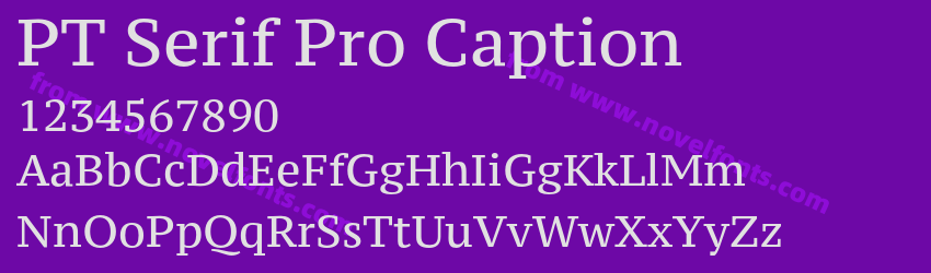 PT Serif Pro CaptionPreview