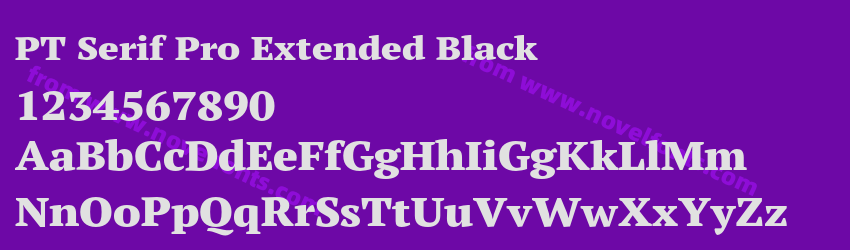 PT Serif Pro Extended BlackPreview