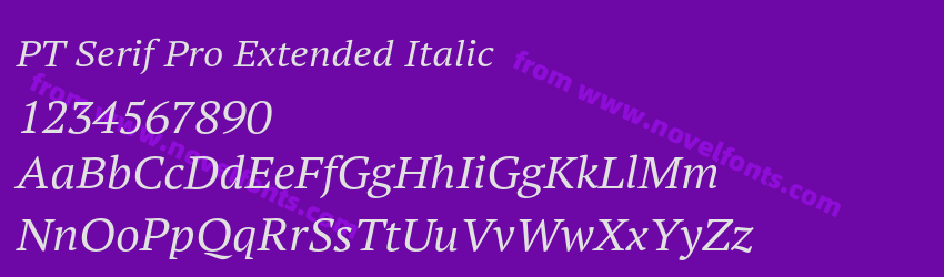 PT Serif Pro Extended ItalicPreview