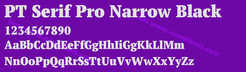 PT Serif Pro Narrow BlackPreview