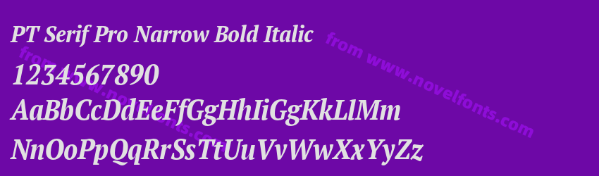 PT Serif Pro Narrow Bold ItalicPreview