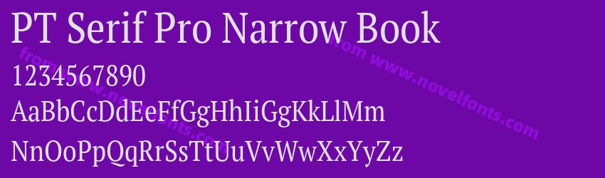 PT Serif Pro Narrow BookPreview